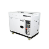 Promax DG8600SE 6300W/7.9kVA  Diesel Generator