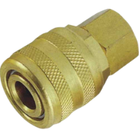 Remington RA210 1/4" Female ARO Coupler